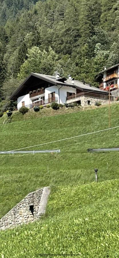 Villetta Sulle Dolomiti Pracorno di Rabbi Εξωτερικό φωτογραφία